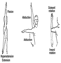 Range of motion joint movement diagram by Ideal Institute of Nursing