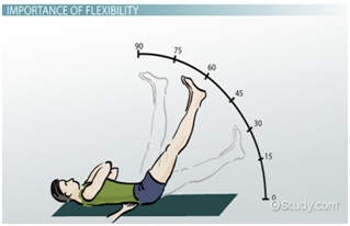 Flexion extension abduction adduction chart by Ideal Institute of Nursing